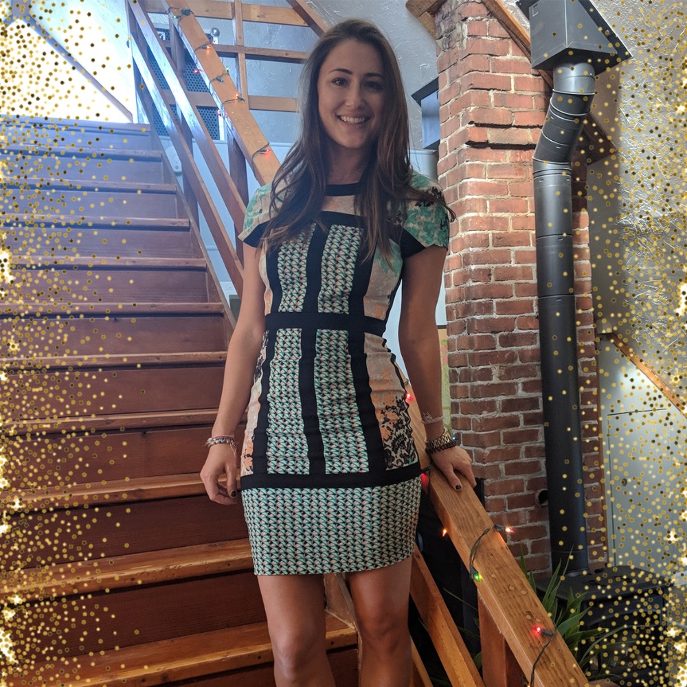 BCBG Blocked Dress
